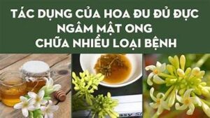 Mật ong ngâm hoa đu đủ đực