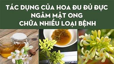 Mật ong ngâm hoa đu đủ đực