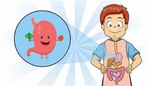 Mật Ong Rừng Hỗ Trợ Tiêu Hóa