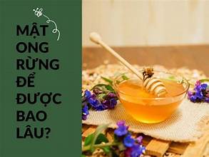 Tại Sao Mật Ong Rừng Không Bao Giờ Bị Hỏng?