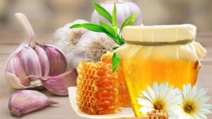 Mật Ong Rừng Có Thể Ngâm Với Gì?