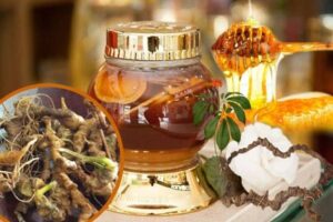 Mật ong rừng ngâm nhân sâm