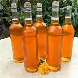 Giá mật ong rừng