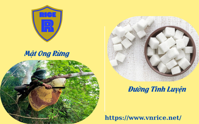 Mật Ong Rừng Thay Cho Đường Tinh Luyện