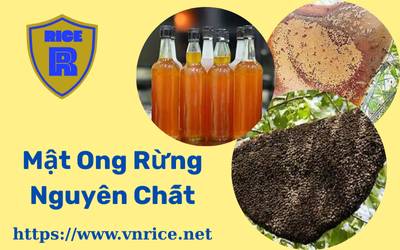 Sự Thật Về Mật Ong Rừng