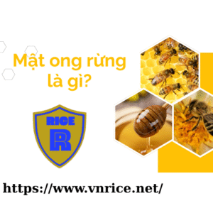 Mật ong rừng là gì?