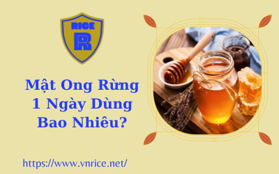 Dùng Mật Ong Rừng Bao Nhiêu Là Đủ
