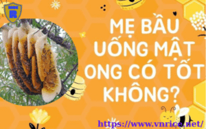 Phụ Nữ Mang Thai Dùng Mật Ong Rừng Được Không?