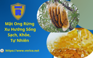 Mật Ong Rừng Xu Hướng Sống Sạch, Khỏe, Tự Nhiên