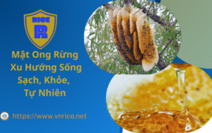 Mật Ong Rừng – Xu Hướng Sống Sạch, Khỏe, Tự Nhiên